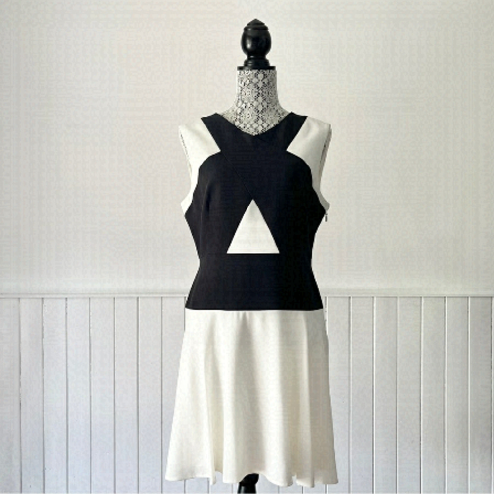 BCBGMaxAzria Aloissa V-Neck Skater Dress Size 12